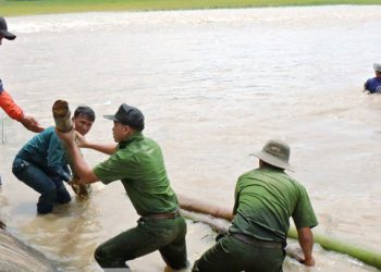 Đê 300 tỉ vỡ toác, cả nghìn ha lúa nguy cơ bị mất trắng