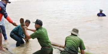 Đê 300 tỉ vỡ toác, cả nghìn ha lúa nguy cơ bị mất trắng