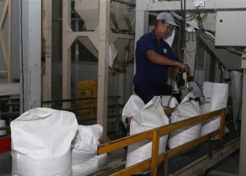 Giá gạo của Việt Nam giảm vì lo ngại Philippines hạn chế nhập khẩu