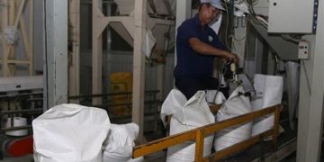 Giá gạo của Việt Nam giảm vì lo ngại Philippines hạn chế nhập khẩu