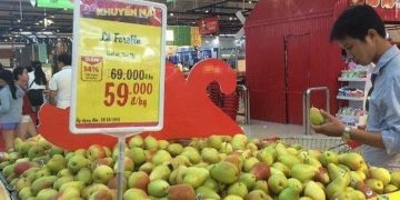 Ô tô, trái cây Mỹ bất ngờ nhập về Việt Nam ồ ạt