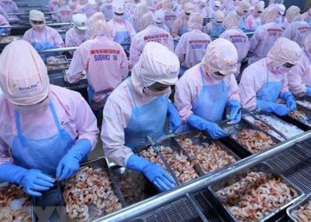 Xuất khẩu thủy sản 7 tháng giảm 1% so với cùng kỳ năm ngoái