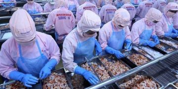 Xuất khẩu thủy sản 7 tháng giảm 1% so với cùng kỳ năm ngoái