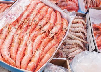 Xuất khẩu thủy sản 2019 sẽ đạt xấp xỉ 9 tỷ USD