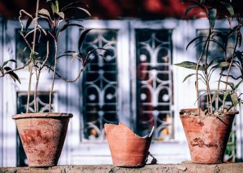 Triết lý Wabi sabi của người Nhật: Cuộc đời không gì hoàn hảo nên đừng cố tìm, hạnh phúc là khi con người chấp nhận sống với khiếm khuyết