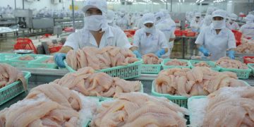 VASEP: xuất khẩu cá tra tiếp tục giảm trong 2 tháng cuối năm, giá cá tra nguyên liệu khó tăng cao