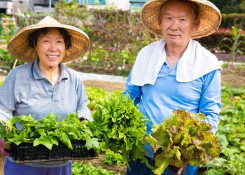 Thói quen ăn uống giúp người Nhật sống thọ nhất thế giới: Chỉ ăn no 8 phần, một ngày ăn 7 loại rau nhưng quan trọng nhất là giữ điều này!