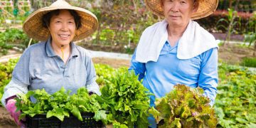 Thói quen ăn uống giúp người Nhật sống thọ nhất thế giới: Chỉ ăn no 8 phần, một ngày ăn 7 loại rau nhưng quan trọng nhất là giữ điều này!