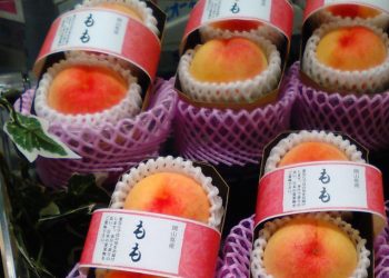 Bên trong vườn đào tiên Nhật Bản giá gần một triệu đồng/cặp