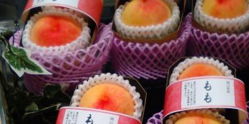 Bên trong vườn đào tiên Nhật Bản giá gần một triệu đồng/cặp