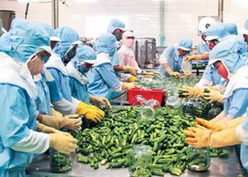 Không xuất khẩu sang Trung Quốc, nông sản Việt tiêu thụ ở đâu?