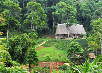 Nữ đại gia Thái Hương bất ngờ lấn sân sang BĐS nghỉ dưỡng bằng loạt dự án lớn