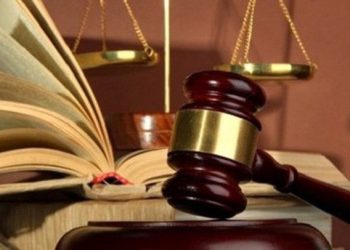 Những chính sách mới có hiệu lực từ tháng 11/2019