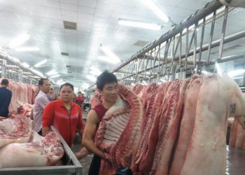 Liệu thịt lợn có tiếp tục lên “cơn sốt” giá?