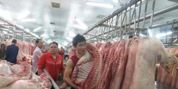 Liệu thịt lợn có tiếp tục lên “cơn sốt” giá?