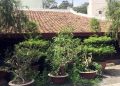 Nỗi trăn trở của người đàn bà trong căn nhà toàn gỗ quý ở Bình Dương
