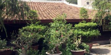 Nỗi trăn trở của người đàn bà trong căn nhà toàn gỗ quý ở Bình Dương