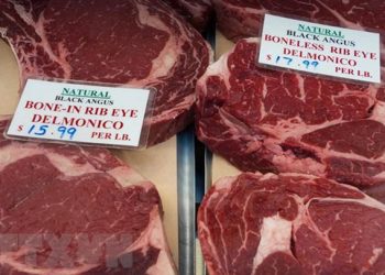 Hạ viện Nhật Bản thông qua thỏa thuận thương mại với Mỹ