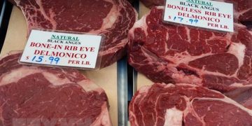 Hạ viện Nhật Bản thông qua thỏa thuận thương mại với Mỹ