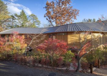 Vẻ đẹp trác tuyệt nhà gỗ uốn cong giữa khu rừng ai cũng muốn trải nghiệm