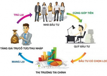 ĐẦU TƯ CHỨNG CHỈ QUỸ: CƠ HỘI SINH LỜI HẤP DẪN VÀ AN TOÀN