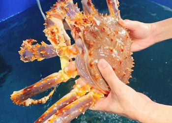 Sau tôm hùm, cua hoàng đế giảm giá sốc