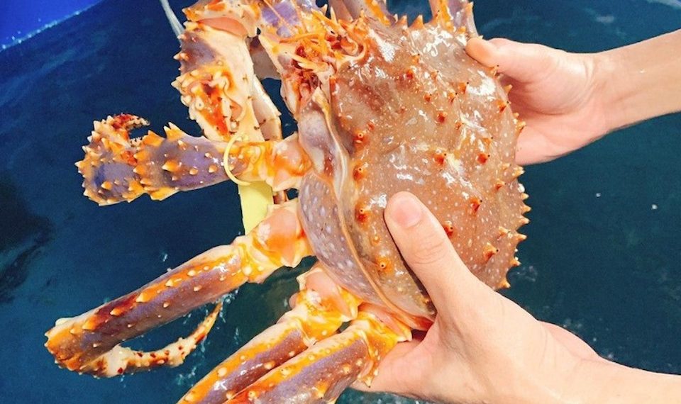 Sau tôm hùm, cua hoàng đế giảm giá sốc