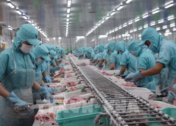 Đề xuất giảm thuế ‘cứu’ doanh nghiệp, kích cầu tiêu dùng