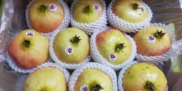 Lựu Thái Lan, Ấn Độ, Trung Quốc… “tràn ngập” TP Hồ Chí Minh