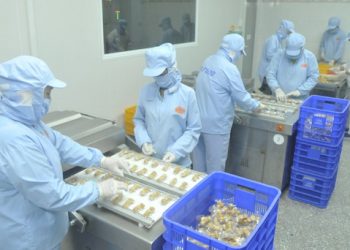 Kinh tế Việt Nam – Điểm sáng thời Covid-19