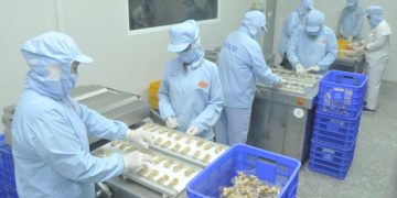 Kinh tế Việt Nam – Điểm sáng thời Covid-19