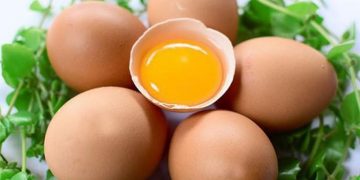 Bí quyết chọn trứng gà tươi ngon