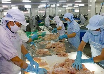 Dự báo kim ngạch xuất khẩu thủy sản sang thị trường EU giảm 20%