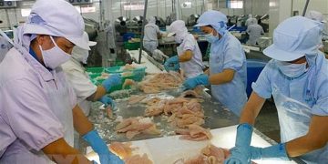 Dự báo kim ngạch xuất khẩu thủy sản sang thị trường EU giảm 20%