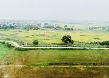 Yêu cầu thanh tra các dự án có người nước ngoài sử dụng đất