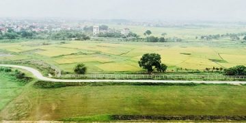 Yêu cầu thanh tra các dự án có người nước ngoài sử dụng đất