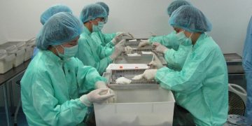 Việt Nam thử nghiệm vaccine COVID-19 trên khỉ