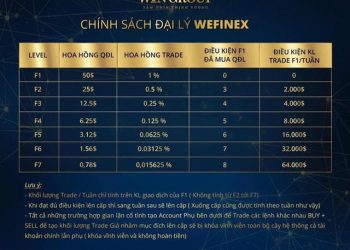 Cảnh báo thủ đoạn lừa đảo qua mạng và kinh doanh đa cấp trái phép mới