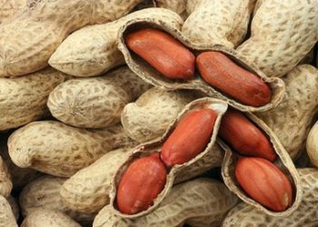 Lạc – thực phẩm tốt cho sức khỏe mùa đông