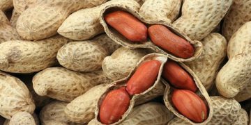 Lạc – thực phẩm tốt cho sức khỏe mùa đông