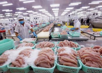 Xuất khẩu thủy sản năm tới kỳ vọng tăng 10%