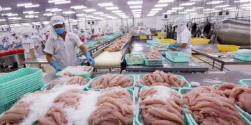 Xuất khẩu thủy sản năm tới kỳ vọng tăng 10%