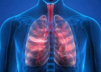 4 cách để nuôi dưỡng phổi khỏe mạnh