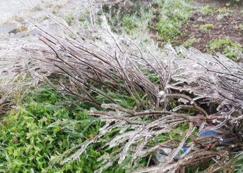 Hà Nội còn 8 độ C, Mẫu Sơn chìm trong băng tuyết