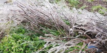 Hà Nội còn 8 độ C, Mẫu Sơn chìm trong băng tuyết