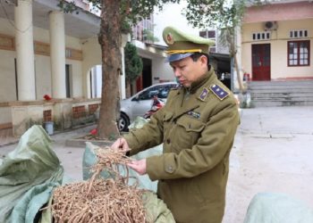Thu giữ nguyên liệu thuốc Bắc nhập lậu và thuốc bảo vệ thực vật không chứng từ