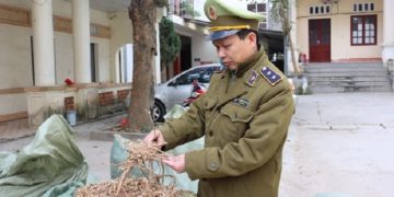 Thu giữ nguyên liệu thuốc Bắc nhập lậu và thuốc bảo vệ thực vật không chứng từ