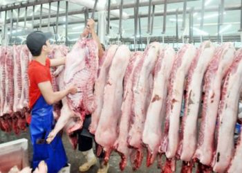 TPHCM chốt giá bán thịt heo bình ổn Tết Tân Sửu 2021