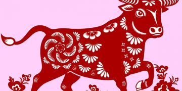 Phong thuỷ năm tân sửu 2021 nói gì về các ngành nghề trong năm?