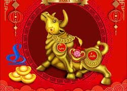 THIẾT KẾ CHIẾN LƯỢC CUỘC ĐỜI VỚI CHUYÊN GIA PHONG THỦY HƠN 20 NĂM KINH NGHIỆM